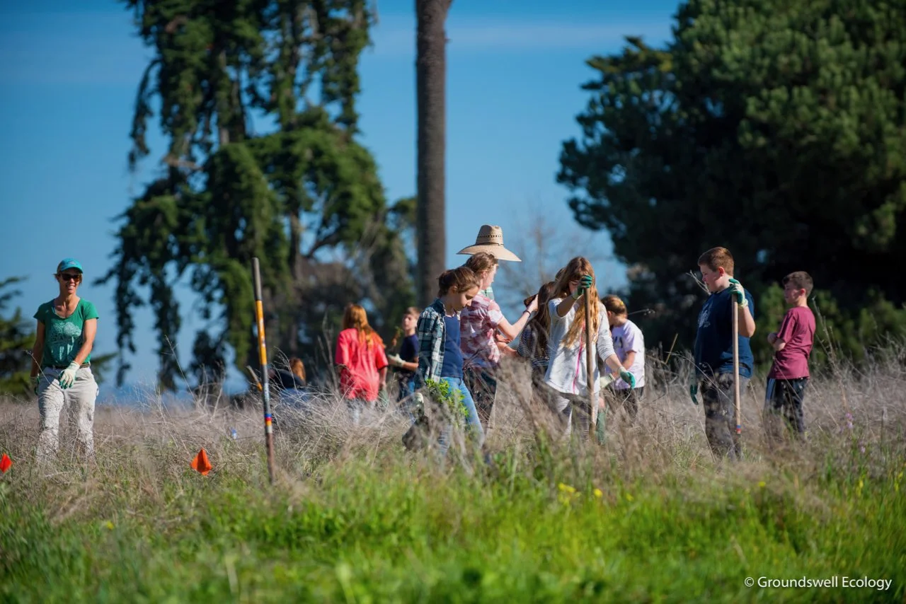 Groundswell Coastal Ecology: Lighthouse Field Community Restoration Day, June 4, 9 am – Noon