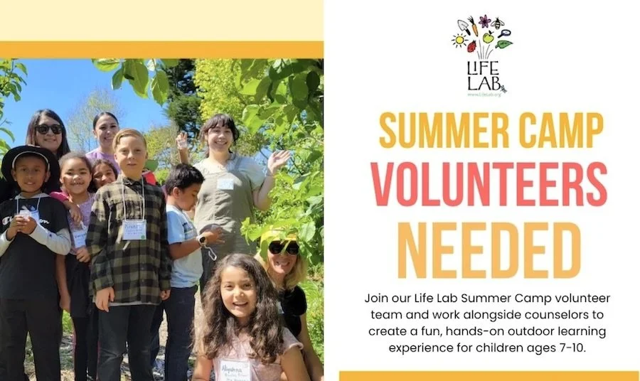 Life Lab: Summer Camp Volunteer Opportunities, Starting June 22