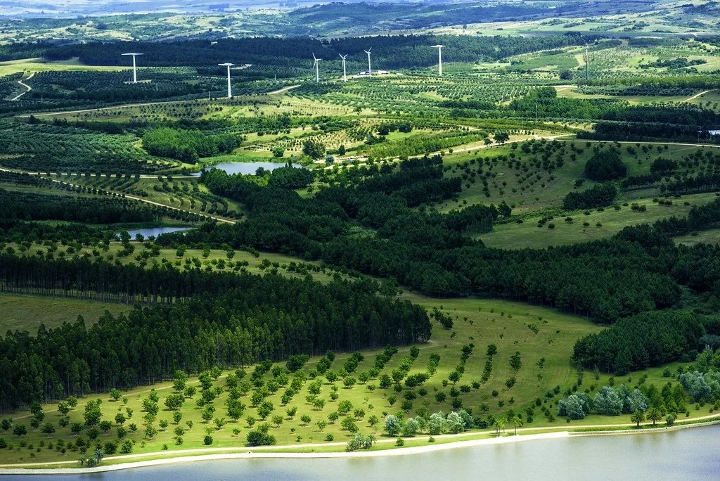 Optimist Daily: How Uruguay Achieved 98% Renewable Energy