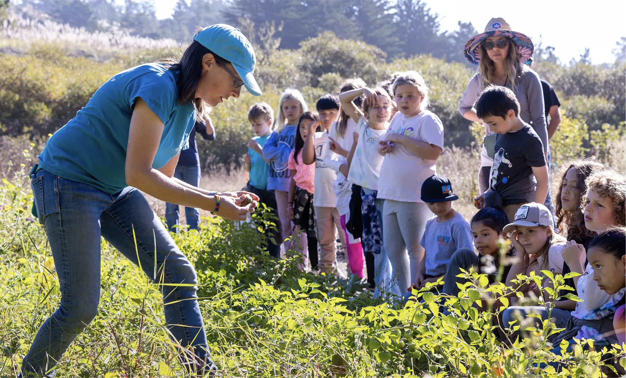 Ten Strands: Outdoor Learning and Environmental Literacy, Send message by May 18! 