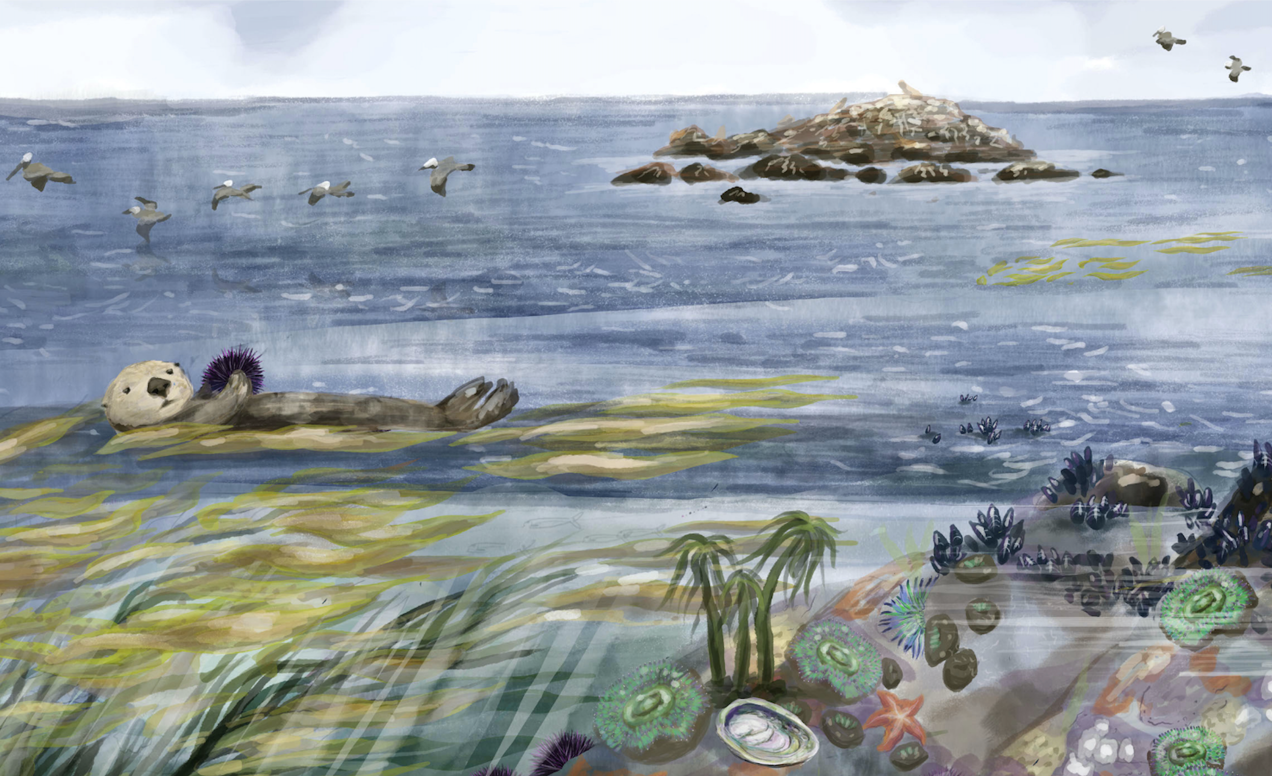 SC Museum of Natural History: Naturalist Night - A Dive into Undersea Gardens, June 3, 6 - 8 pm