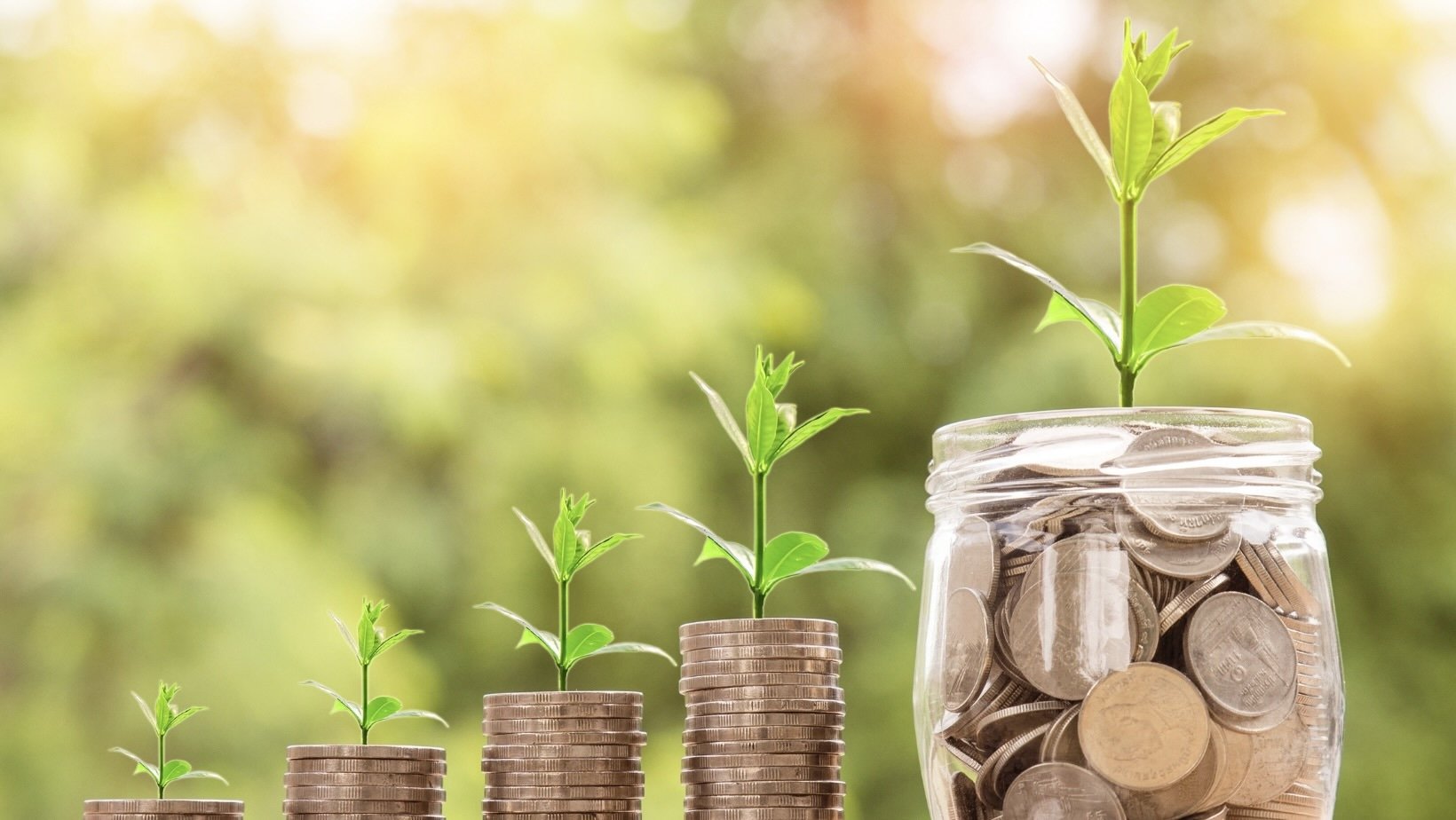 Green Finances - Aligning Your Money with Your Values, May 31, Noon - 1 pm