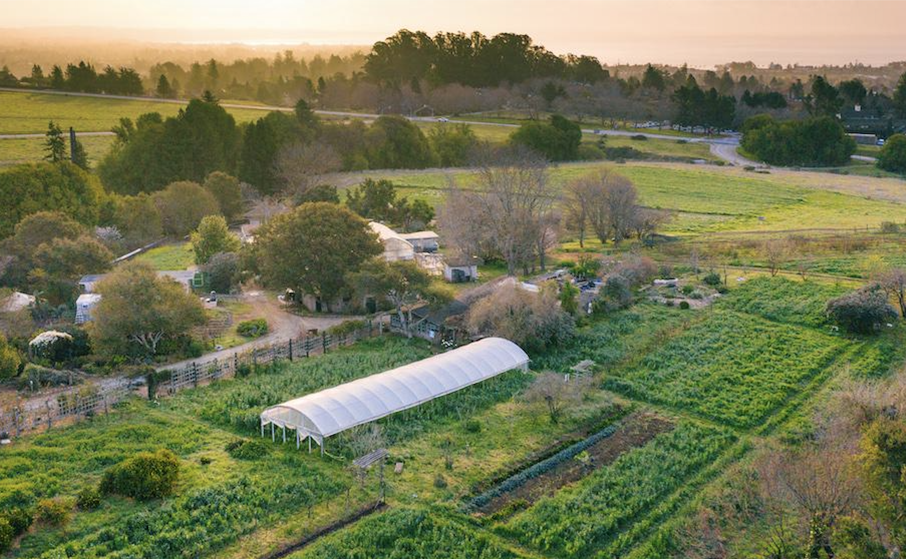 UCSC Farm: Free Guided Tour, June 6, Noon - 1:30 pm