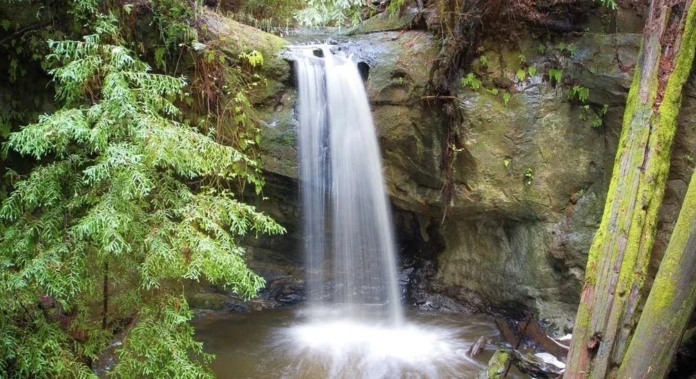 Big Basin State Park: Sequoia Trail Reopened May 22