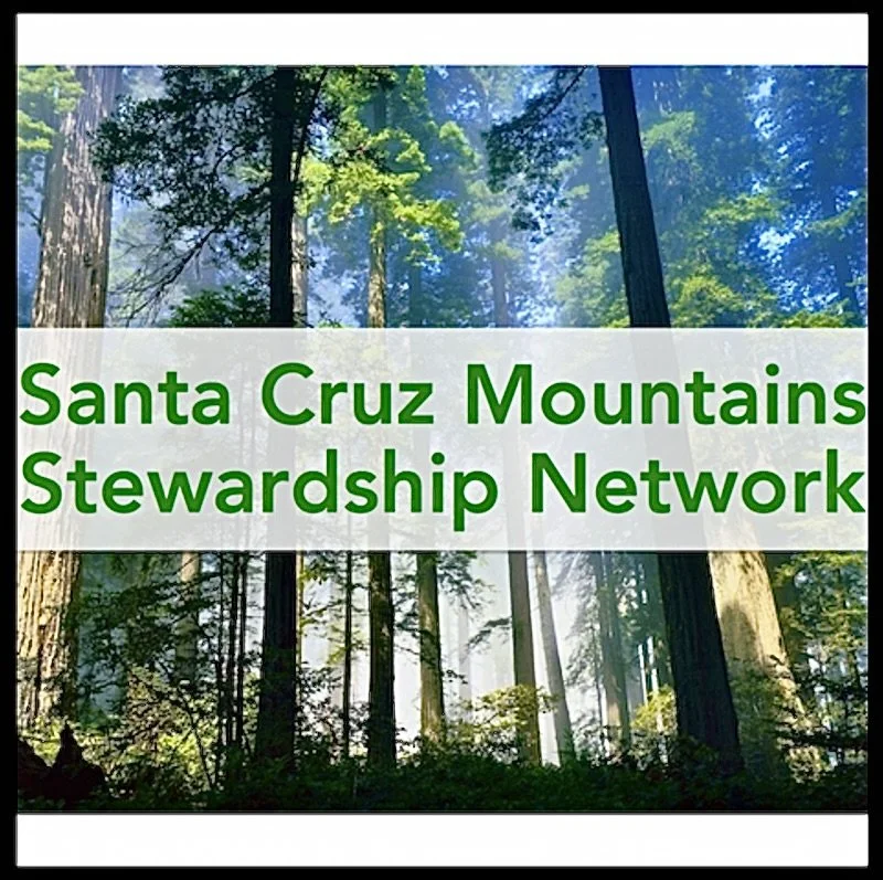 The Santa Cruz Mountains Stewardship Network (SCMSN) 