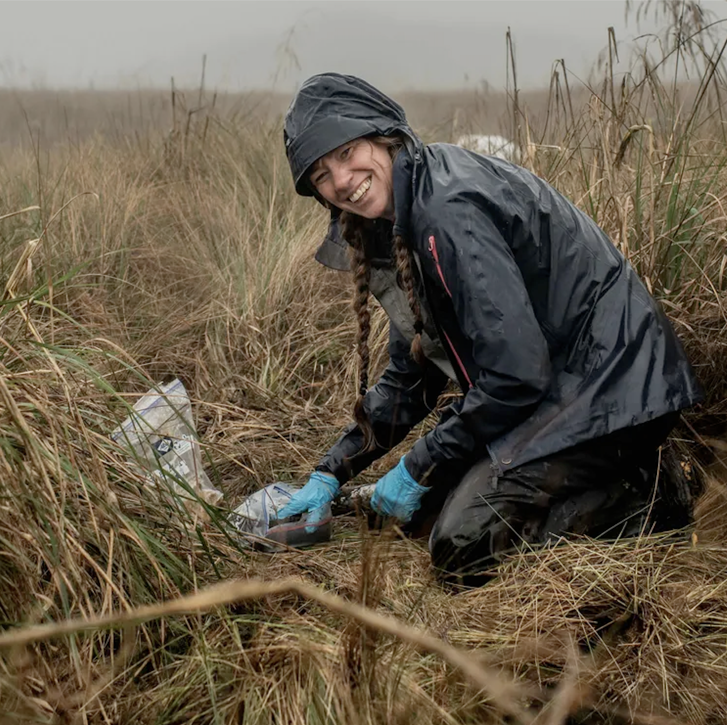 Inside Climate News: Threads of Earth’s Underground Fungal Networks Are Long Enough to Reach Beyond the Solar System
