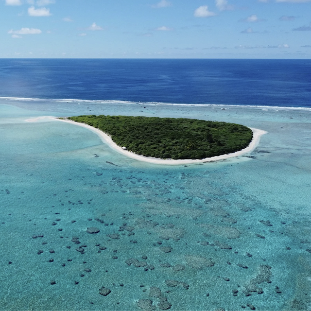 Surfrider: Trump Weakens Protections for Three Marine Monuments