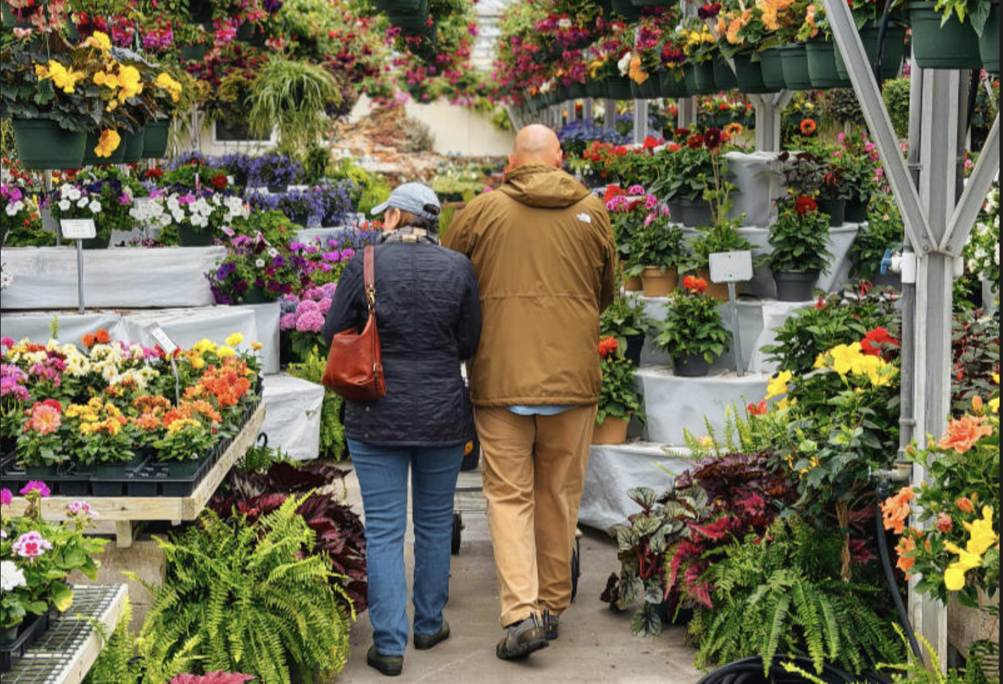 UCSC Arboretum: Earth-Friendly Gardening Workshops: #2 -- Plant Selection, July 26, 10 am – Noon