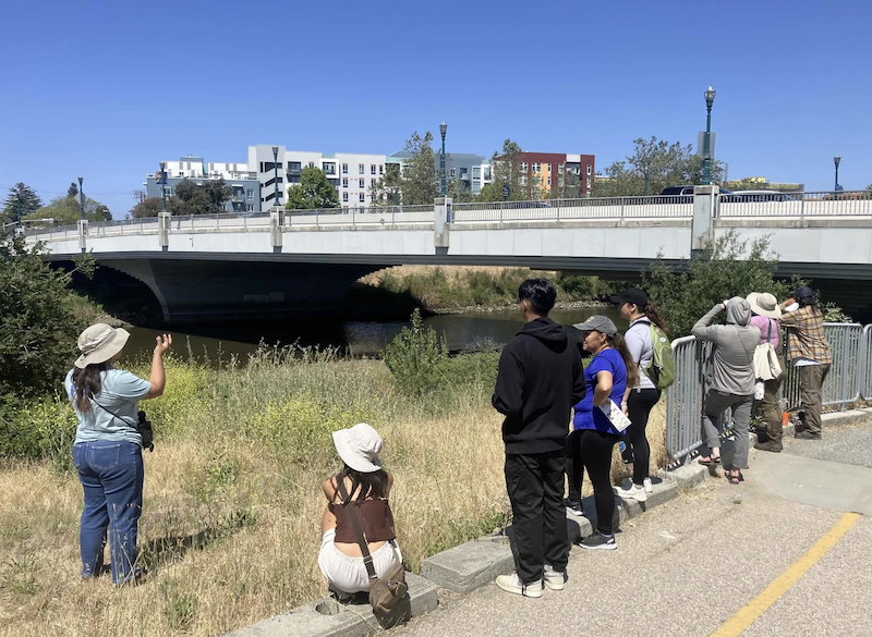 Coastal Watershed Council: San Lorenzo River Guided Walk, July 14 &amp; 16, 9:30 - 11:30 AM