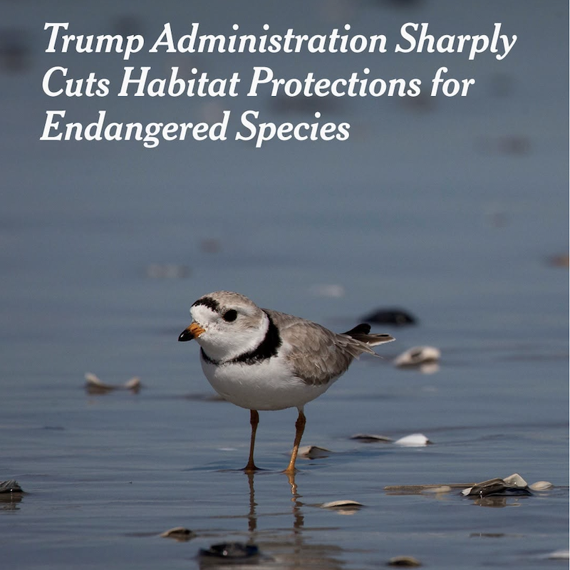 Center For Biological Diversity:Trump Administration Kills Protections for Endangered Wildlife Habitat