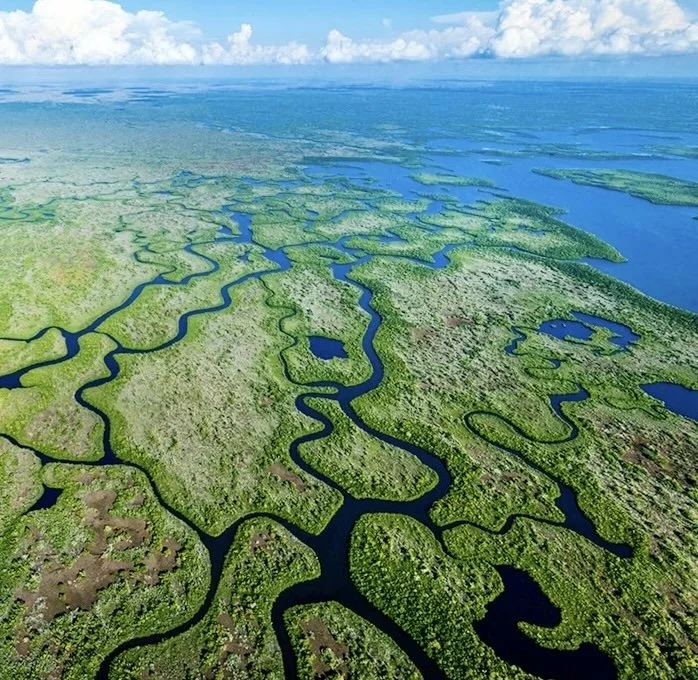 Happy Eco News: Everglades Restoration Effort Advances with Major Project Moved Ahead of Schedule