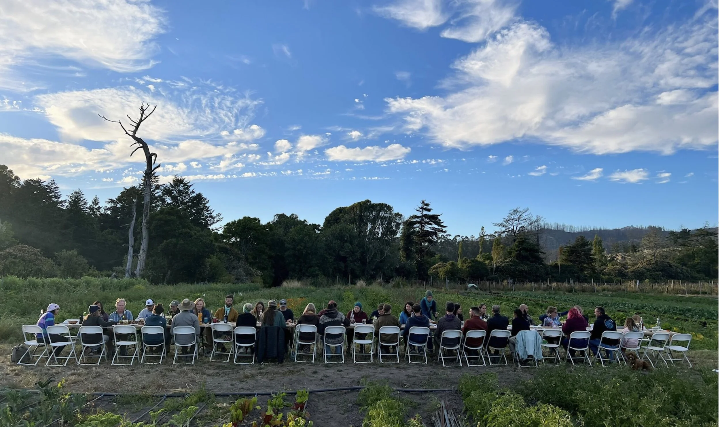 Permaculture Santa Cruz: Our 10-Year Anniversary -- A decade of cultivating community, Aug 8, 2 - 8 pm