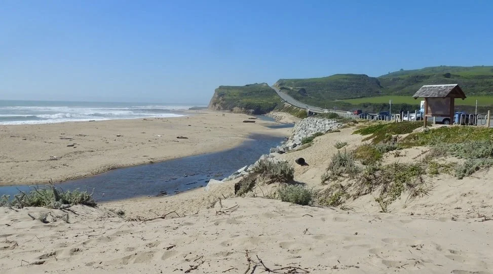 Save Our Shores: Beach Cleanup @ Scott Creek Beach, Aug 8, 9 - 11 am