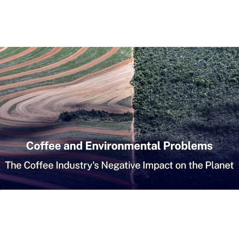 EcoMotion: Coffee comes with huge hidden costs: poverty, child labor, and slave labor plus deforestation.