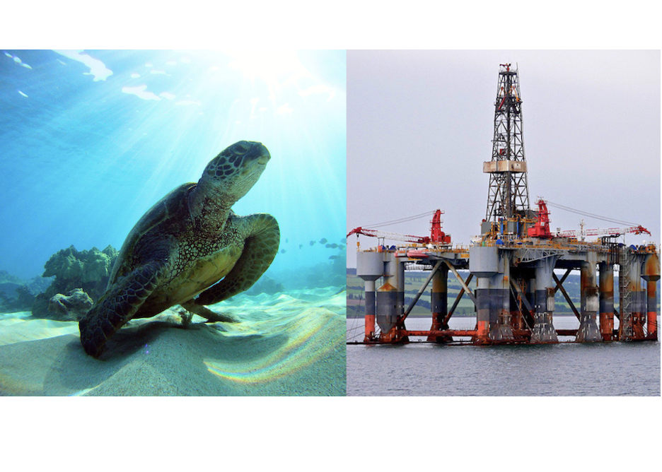 Center for Biological Diversity: Tell the Feds -- Oil Rigs and Space Rockets Don't Mix