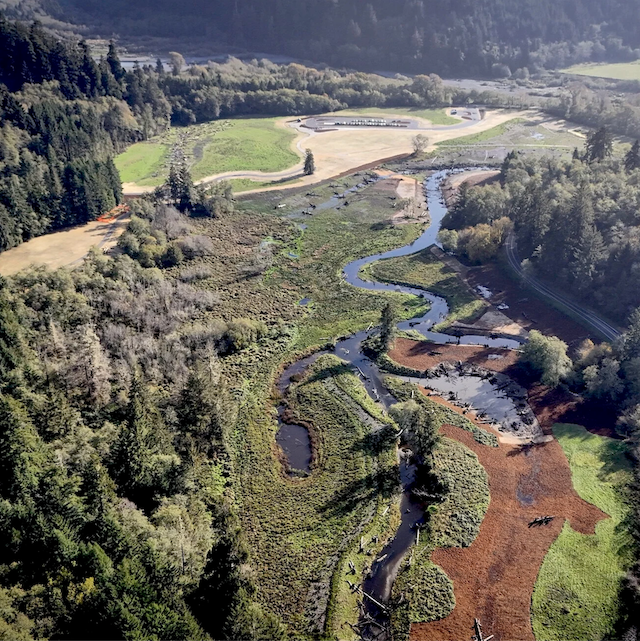 Save The Redwoods League: Returning ’O Rew -- Redwood lands back in Yurok hands