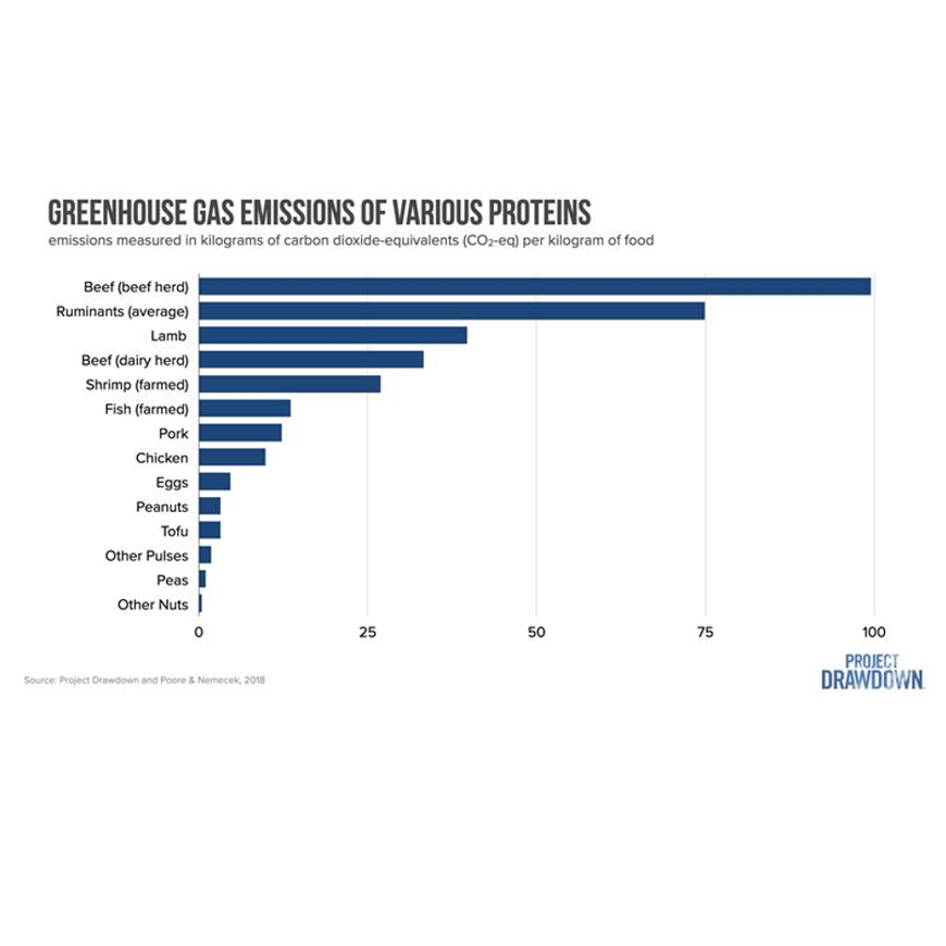 Project Drawdown: How Much Beef Is Too Much for Climate Change?