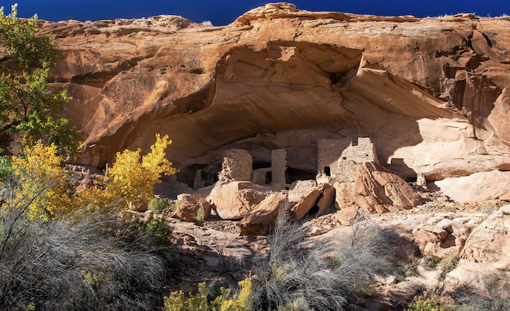 Patagonia: Support Indigenous Stewardship of Bears Ears