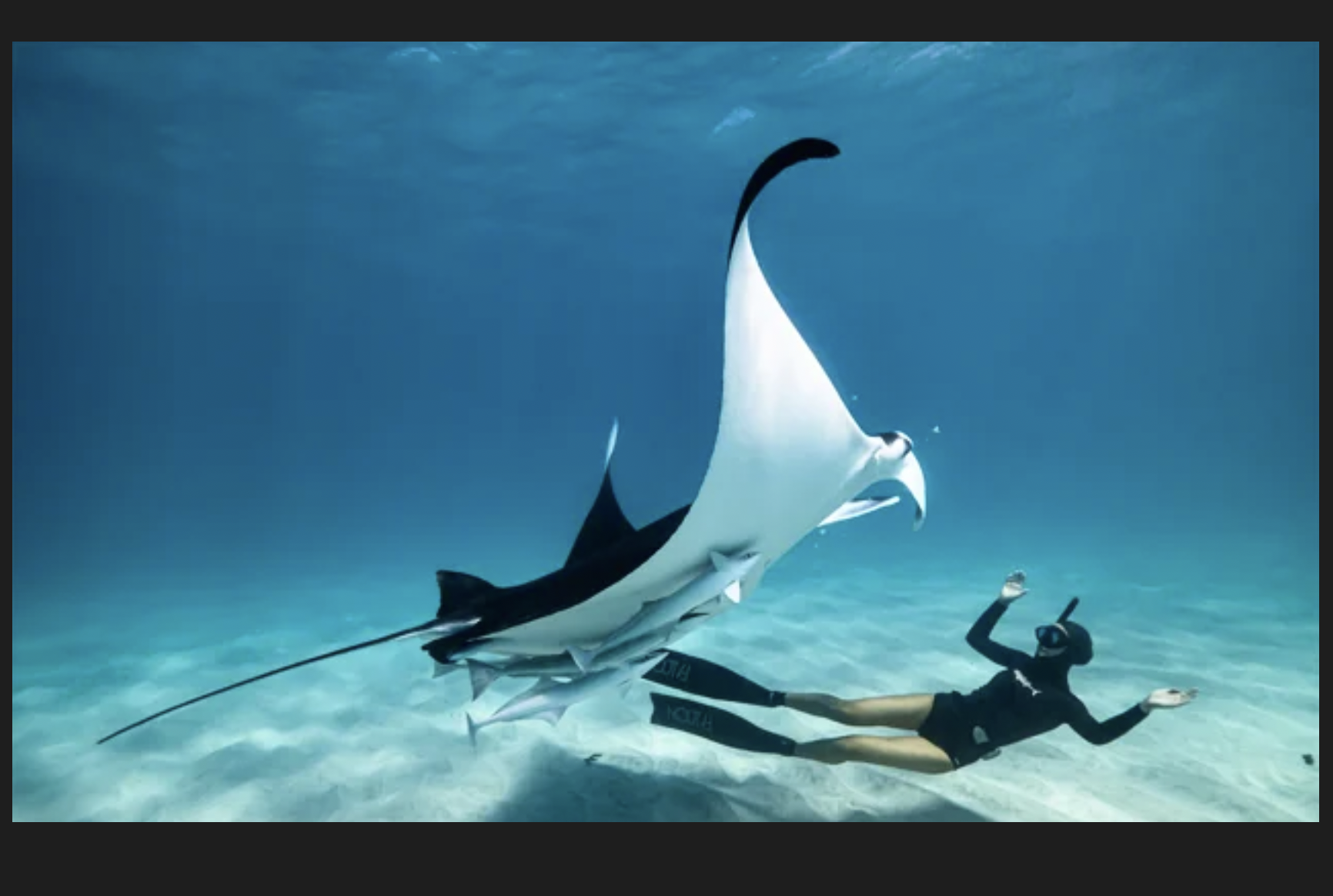 Ocean Film Festival World Tour, Rio Theatre, Sept 4, 7 pm