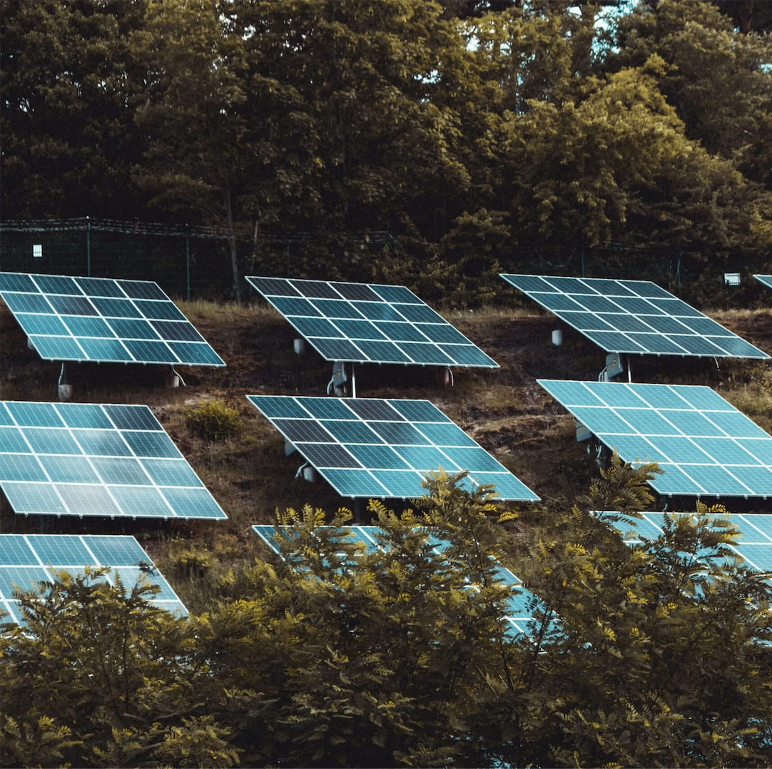 Happy Eco News: Portland Clean Energy Fund Raises $1 Billion for Climate Action and Community Resilience