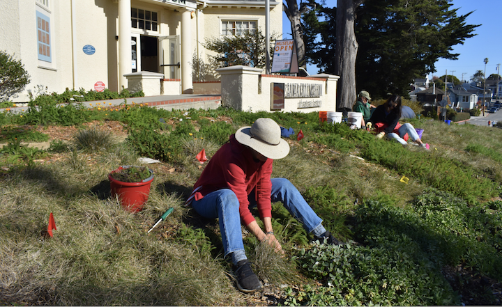 S C Museum Of Natural History: Saturdays In The Soil, Sept 18, 10 am – 12 noon