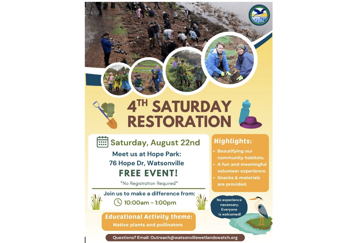 Watsonville Wetlands Watch: 4th Saturday Habitat Restoration Event, Sept 26, 10 am - 1 pm