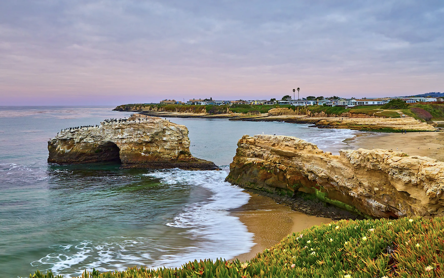 Surfrider: Natural Bridges State Beach Cleanup, Sep 19, 9 - 11 AM