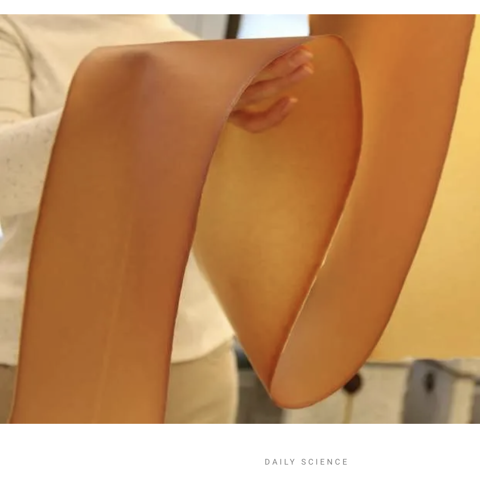Anthropocene Magazine: Mushroom leather may finally be ready for mass production