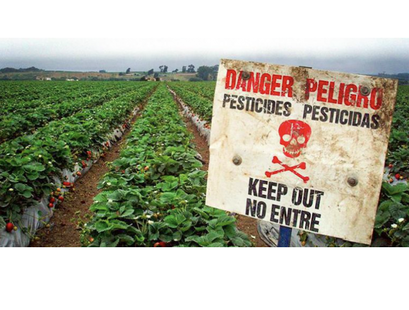 Center For Farmworker Families: The Reality of Pesticides Tour Sept. 27, 3 - 4:30 PM