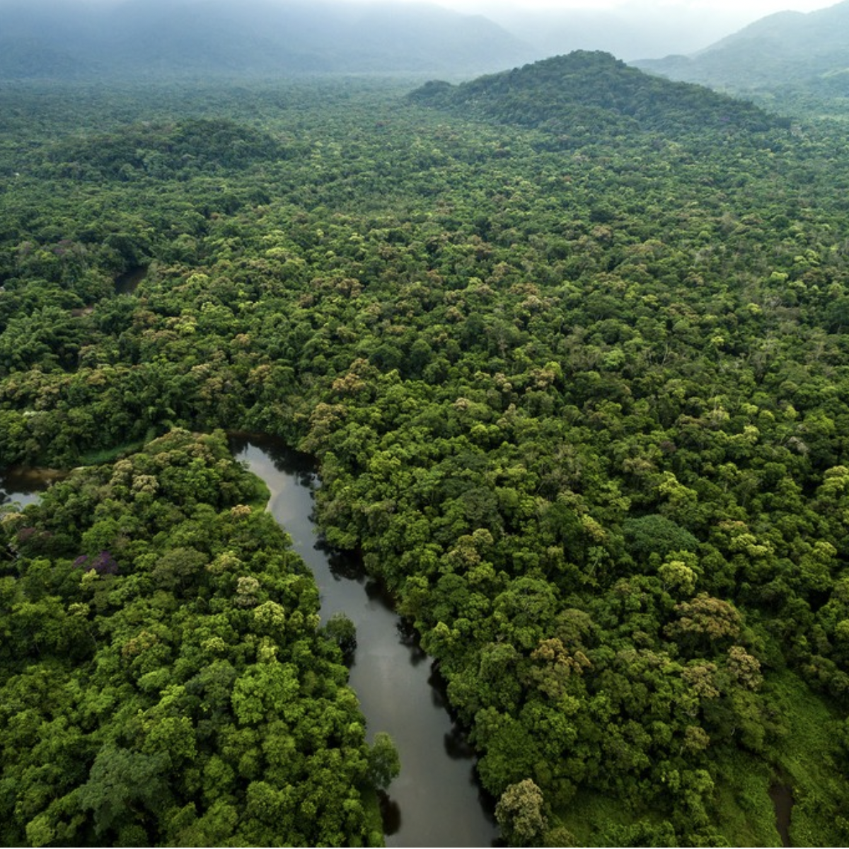 Optimist Daily: Colombia’s outgoing president protected 42% of the country’s Amazon from mining