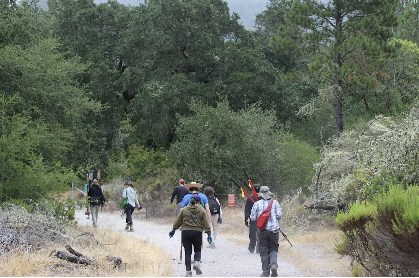 San Lorenzo Valley Water District: Olympia Watershed Restoration, Oct 10, 9 am - Noon
