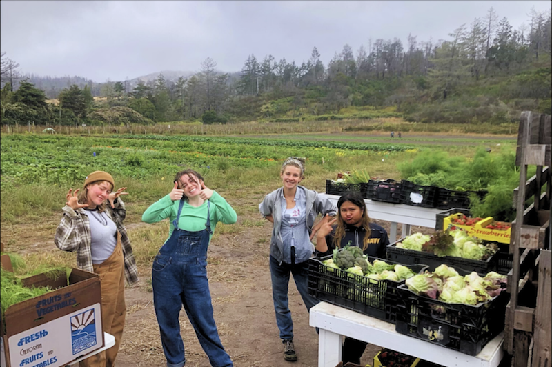 Santa Cruz Permaculture: Open Farm Tours - Come Walk the Farm With Us! Oct 11, 10 AM - 4 PM