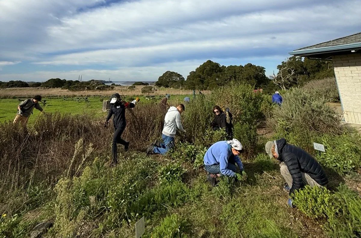 Elkhorn Slough: Volunteer Land Stewards Orientation, Oct 21, 9:15am - Noon