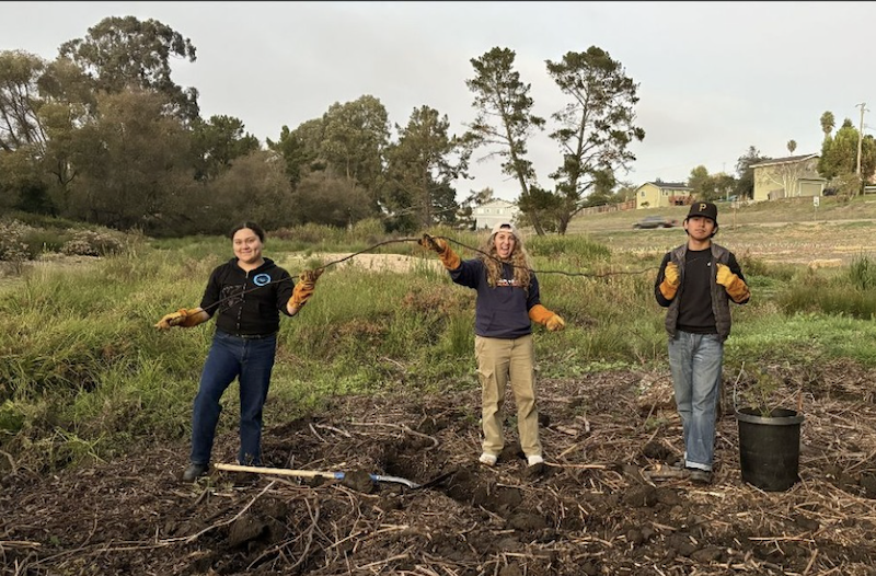Watsonville Wetlands Watch: 4th Saturday Habitat Restoration Event, Oct 24, 10 am - 1 pm