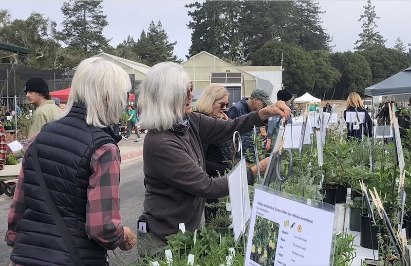 Santa Cruz County Chapter, California Native Plant Society: Fall Plant Sale, Oct 10, 9 AM - 1 PM