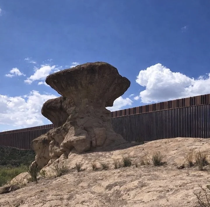 Center For Biological Diversity: Injunction Stops Border Construction in Big Bend Region
