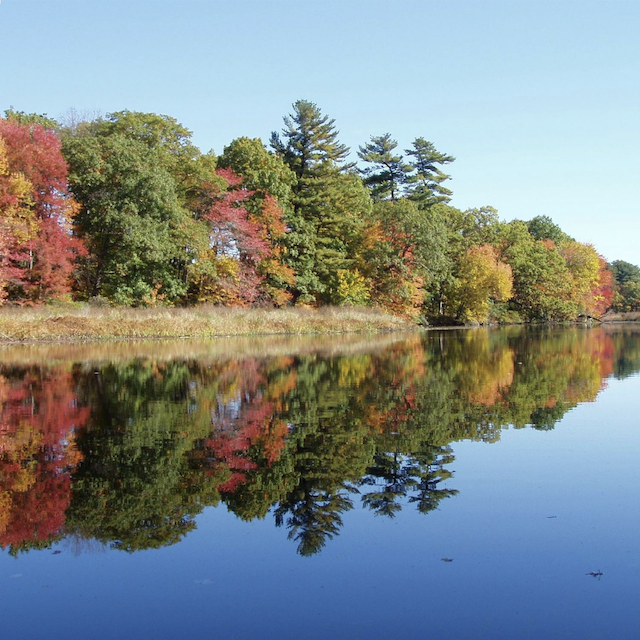 Happy Eco News: Six Decades of Charles River Restoration and Climate Resilience Turned “Dirty Water” into America’s Cleanest Urban River