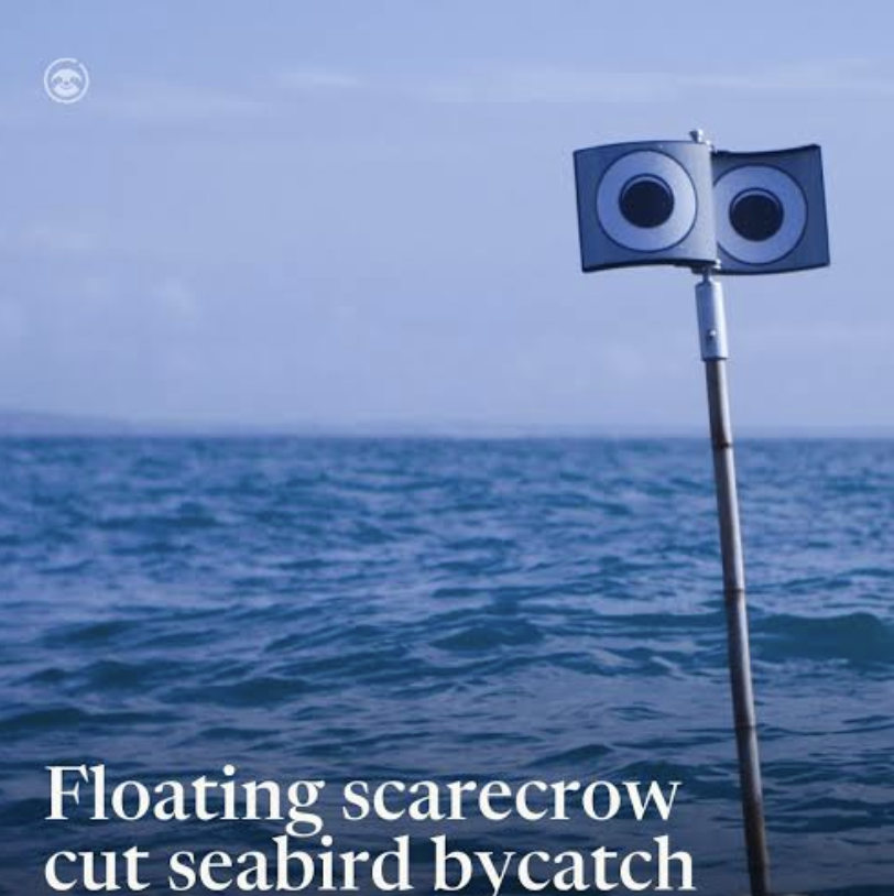 Optimist Daily: The floating scarecrow saving seabirds from fishing nets