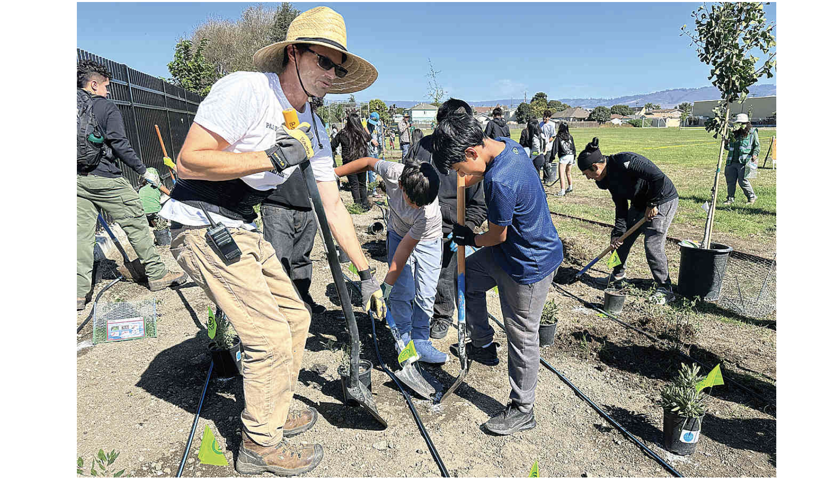 Watsonville Wetlands Watch: Celebration of Trees, Nov 14, 10 am - 1 pm