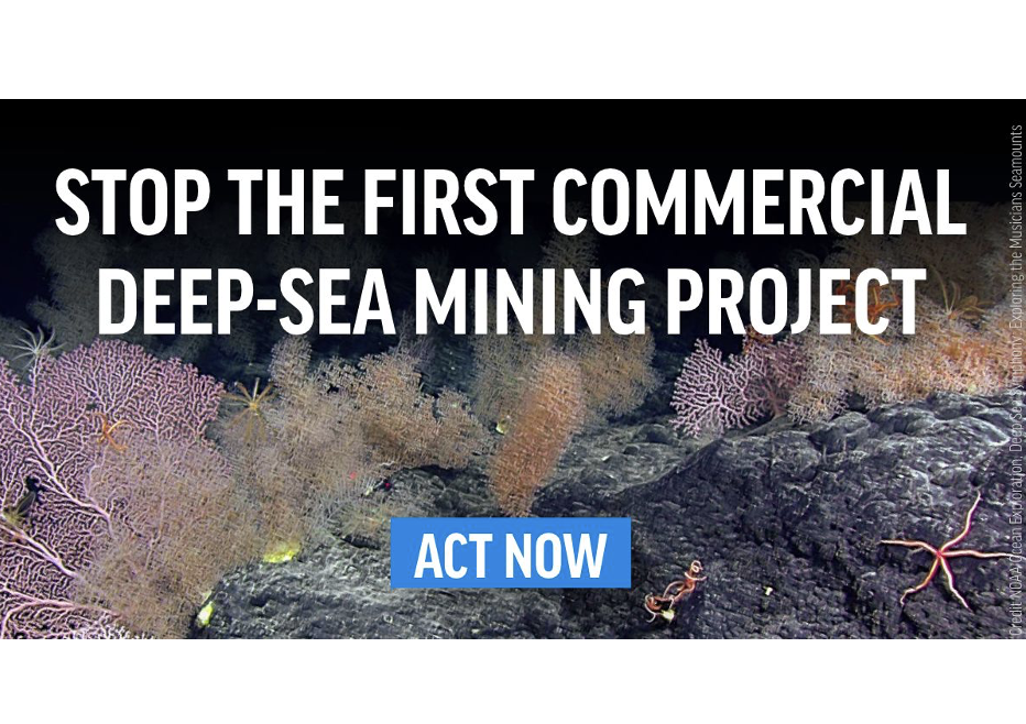 Oceana: The Trump administration is green-lighting the destruction of our oceans, and we need your help to stop it.