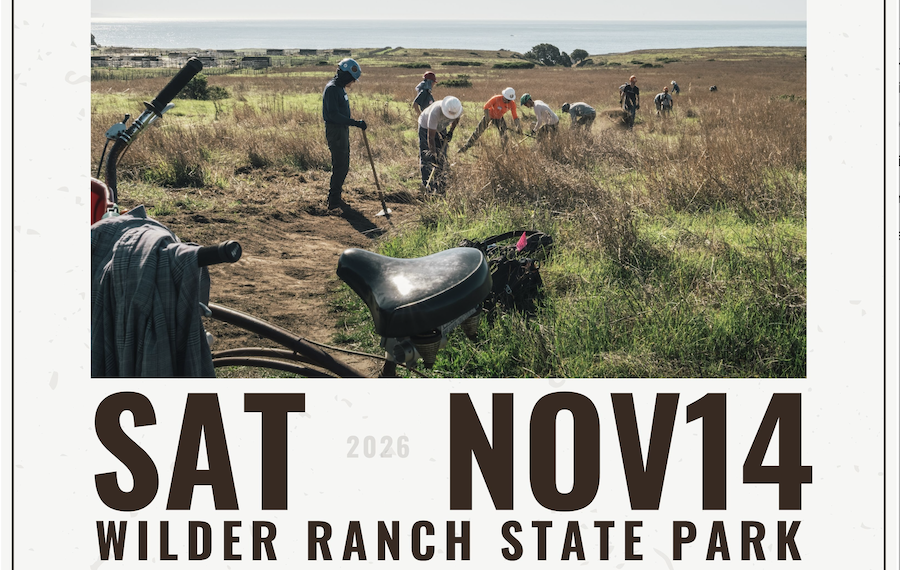 SC Mountains Trail Stewardship: Dig Days at Wilder, Nov 14, 9 AM - 3 PM