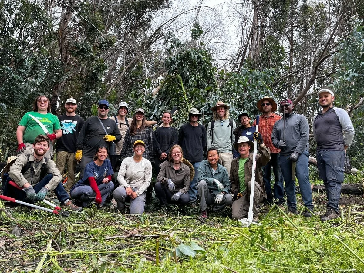 Amah Mutsun Land Trust: Weed'em Out, Nov 14, 9 am - 2:30 pm