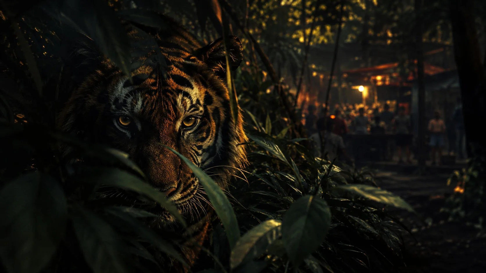 They Kill at Least One Tiger Every Week