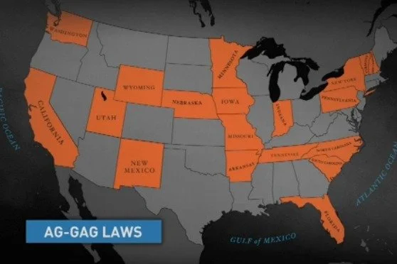 How do you know if someone is abusing?