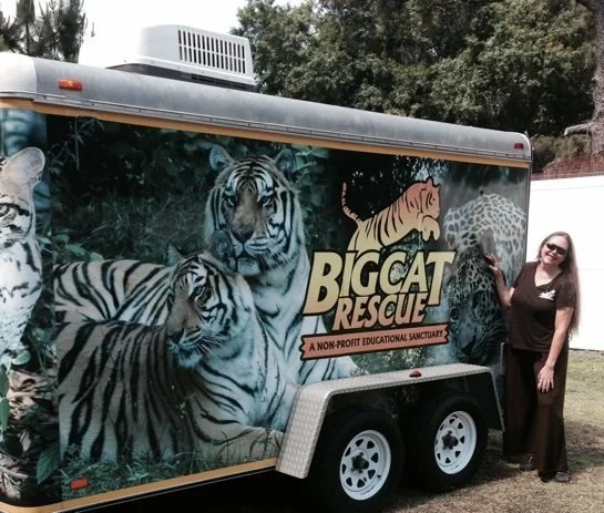 Social Business Engine