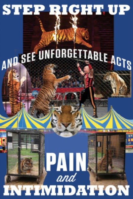 Thanks to PPK Marketing Agency