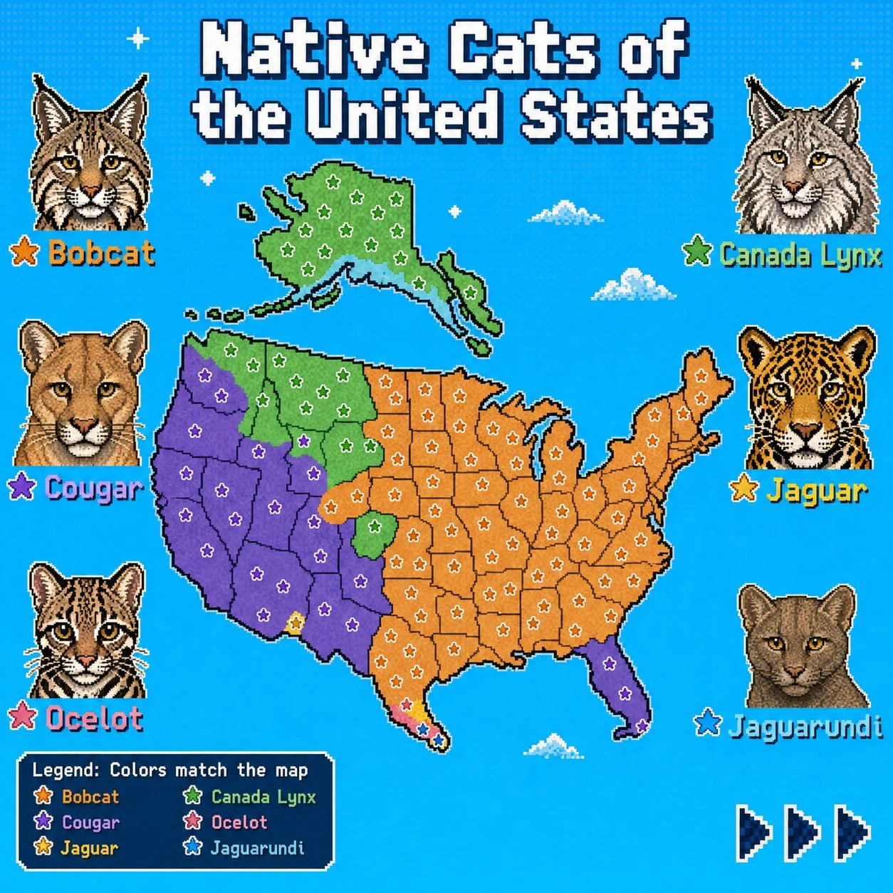 CatsOfTheUS.jpg