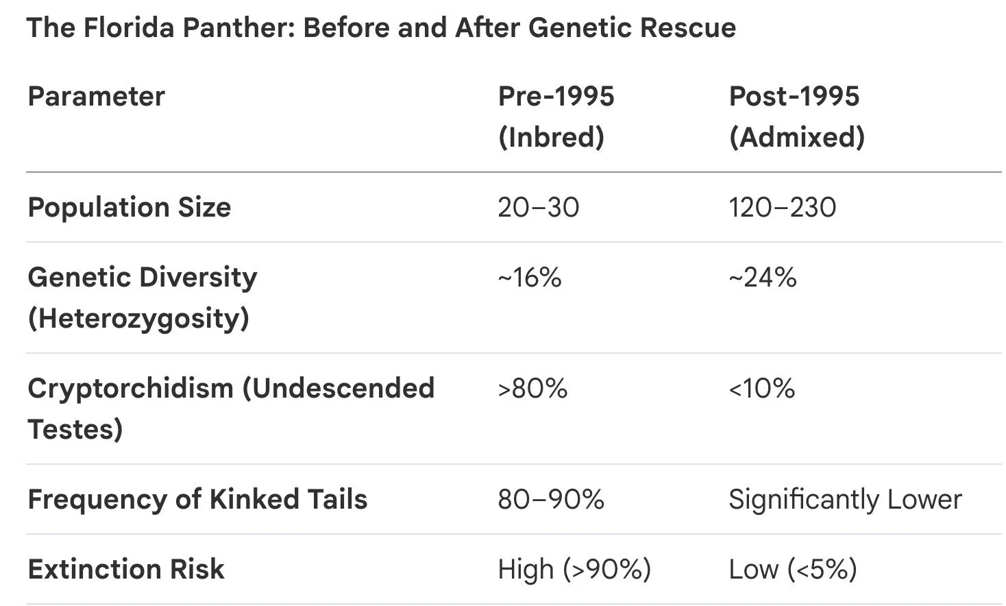Florida Panther Before After Genetic Rescue