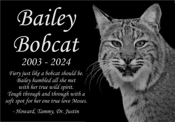 Bailey Bobcat Memorial
