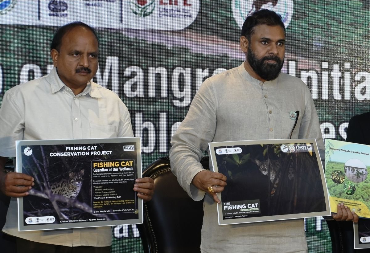 Mangroves and Whiskers: Andhra Pradesh Bolsters Fishing Cat Conservation Efforts